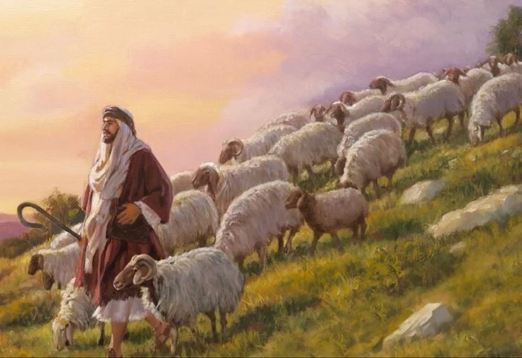 Ovejas y pastores: el arte de formarse para servir